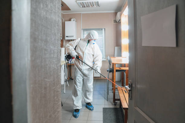 Best Mold Remediation for Rental Properties  in Shinglehouse, PA